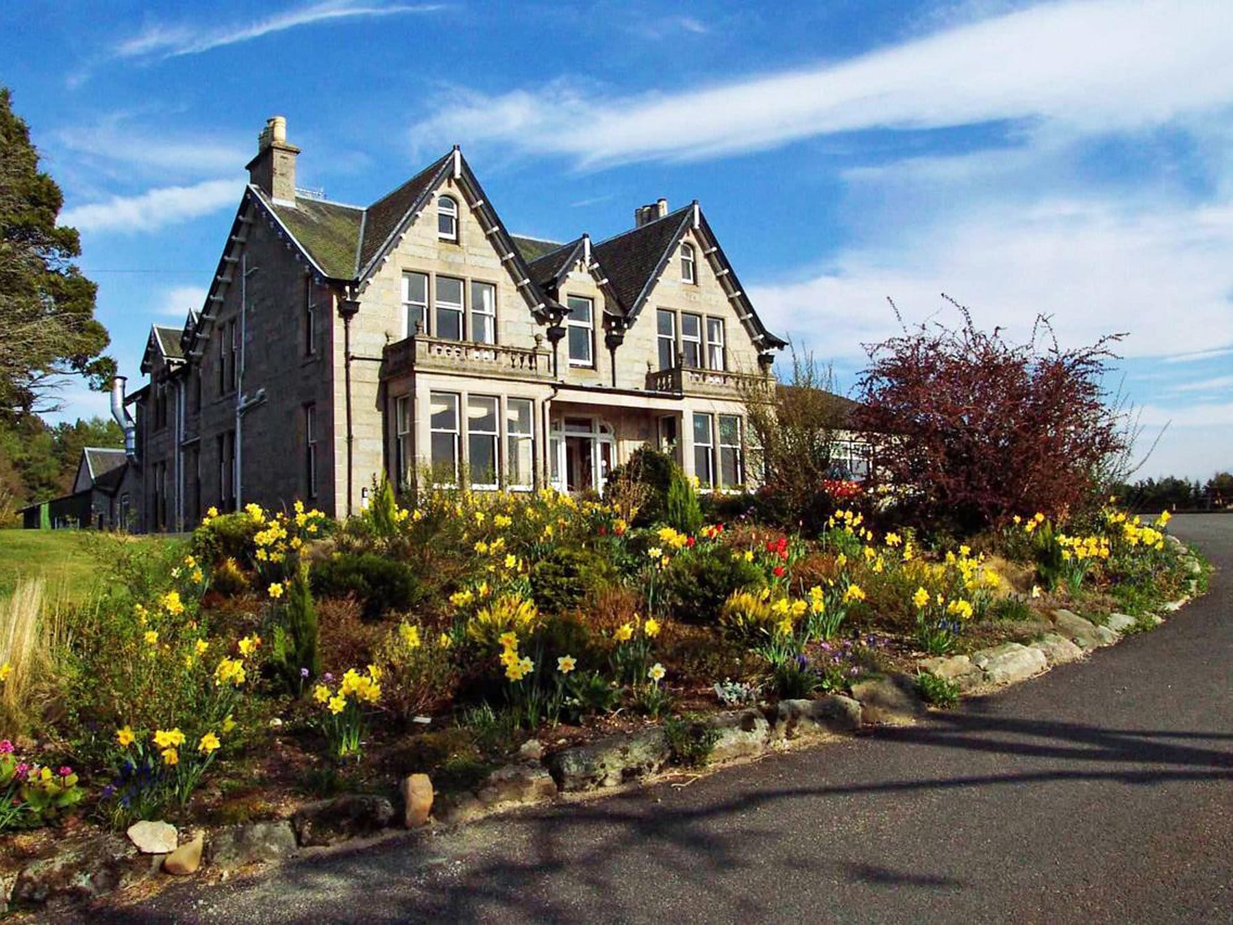 Mountview Hotel - mountview hotel