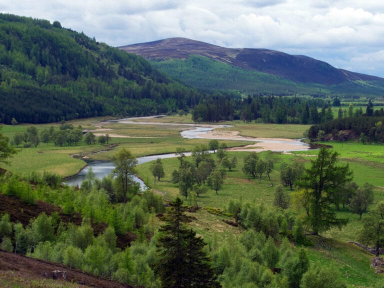 Dee River Partnership - deeriver