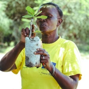 Plant some trees
